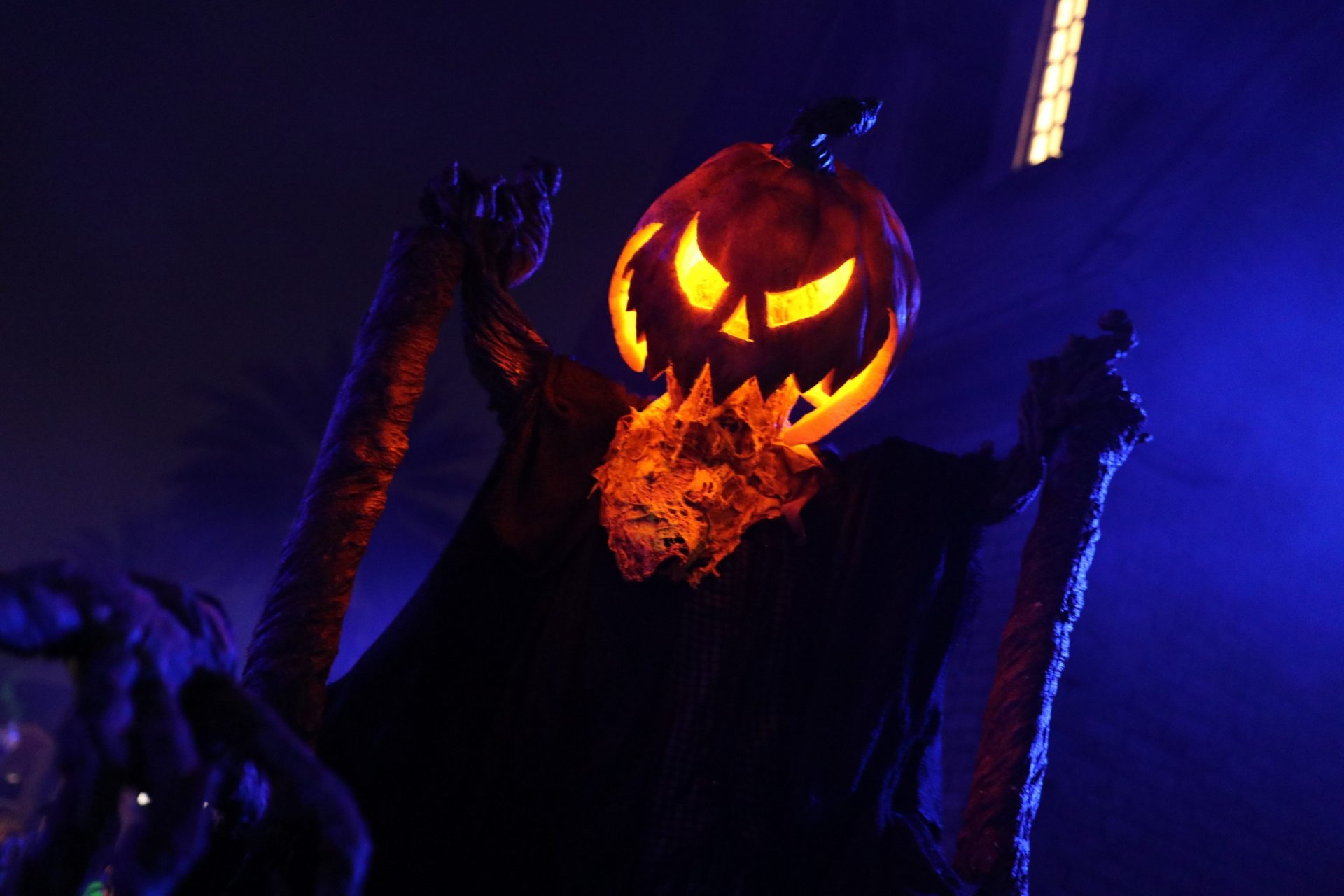 Universal Studios Orlando Halloween Horror Nights 2024 Siana Dorothea