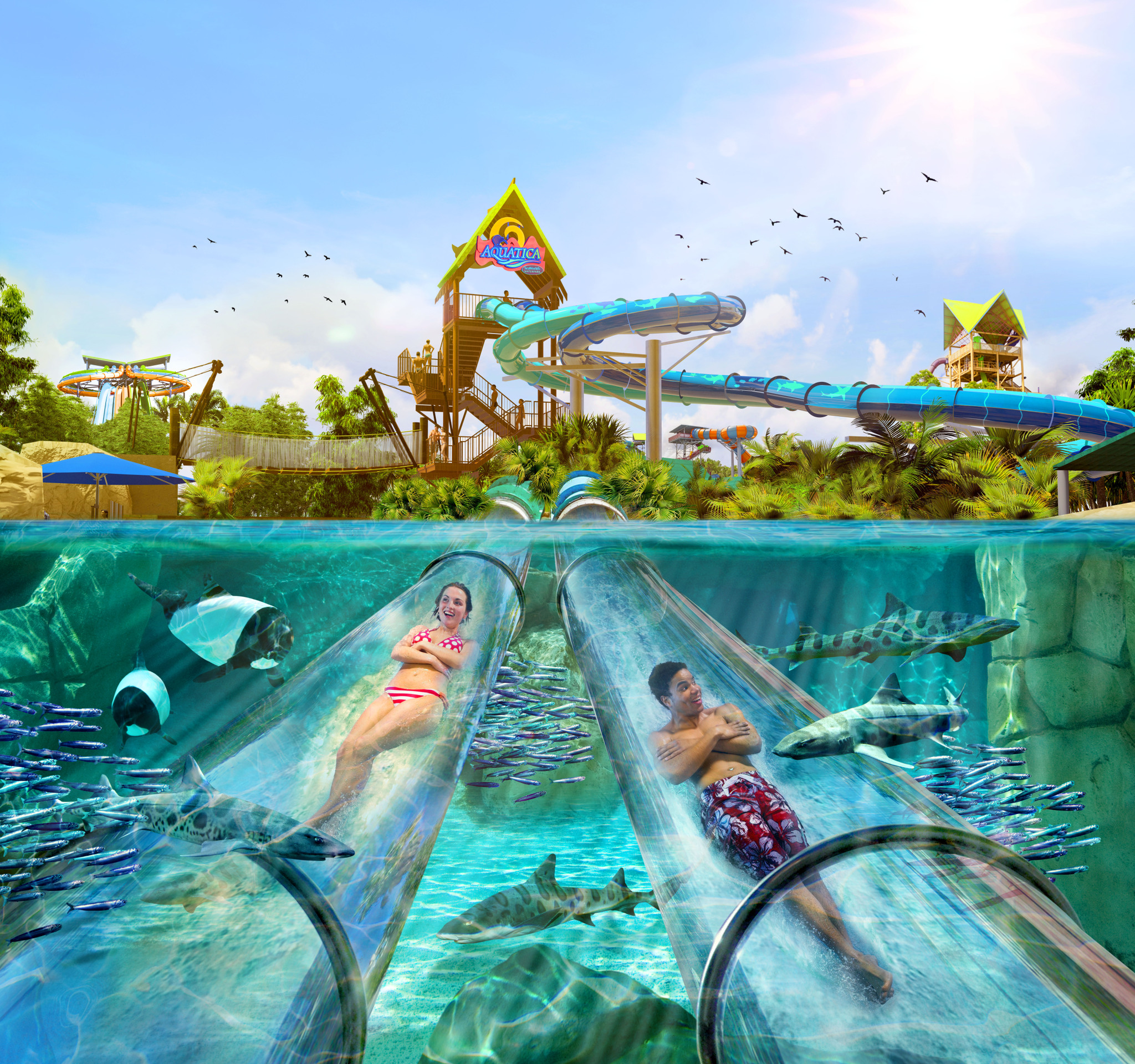 Aquatica Orlando announces new slide, Reef Pluge, along with parkwide