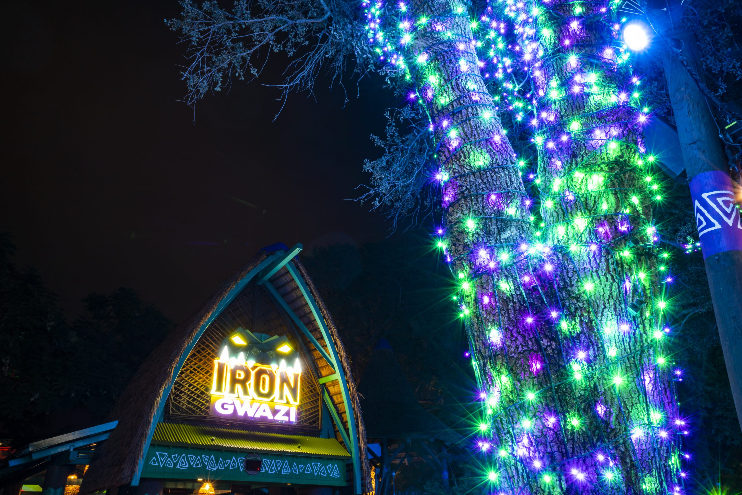Christmas Town at Busch Gardens Tampa Bay celebrates a Decade of