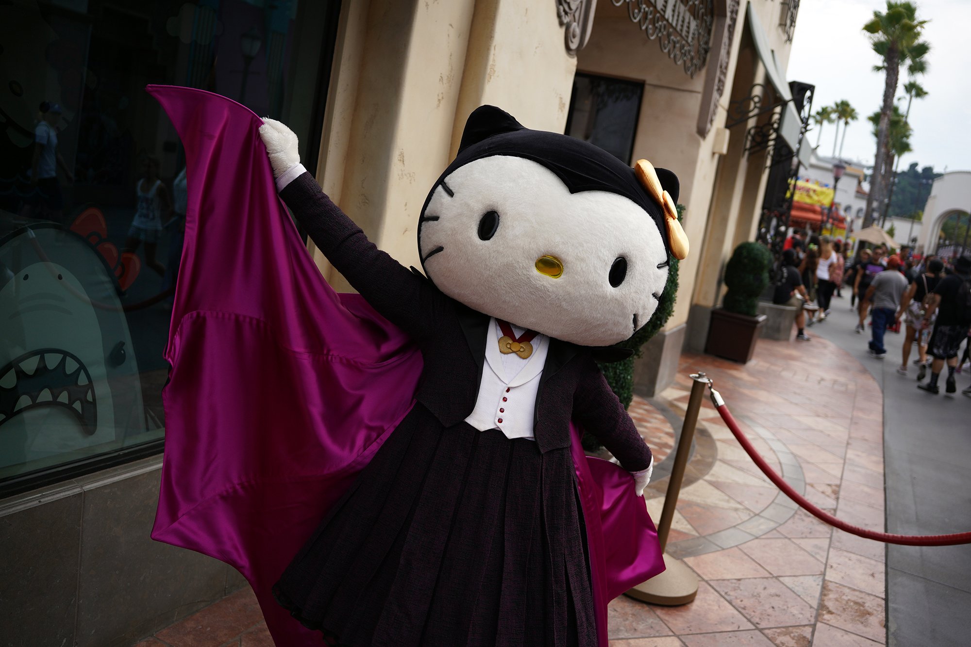 Hello Kitty Sanrio Universal Studios Parks Halloween Dracula Poster Trading  Pin – Hedgehogs Corner